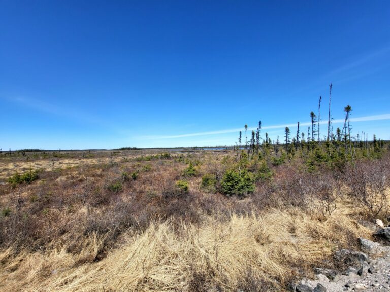 2022.05.19 – 06.09. Newfoundland and Labrador