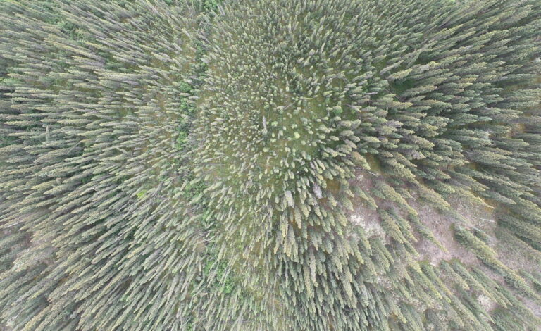 2022.07.28 – 08.29 Alaska